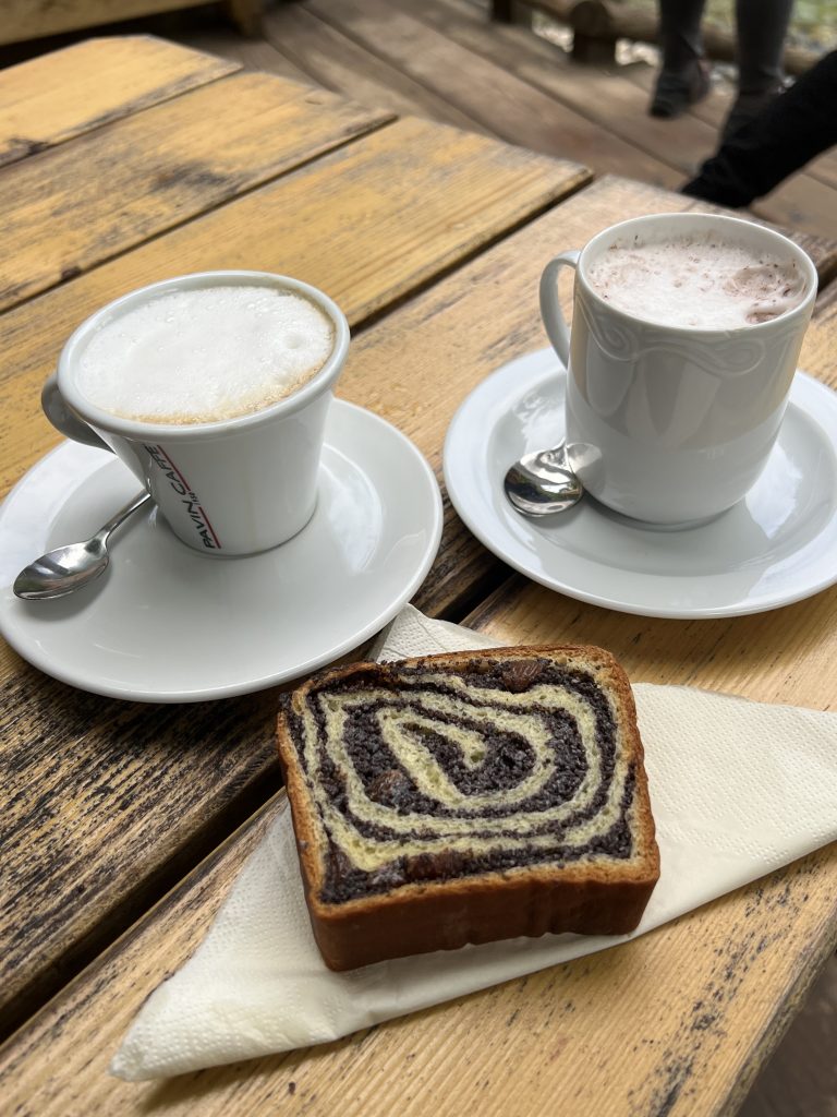 Potica cake